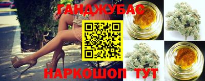 крисы Ирбит