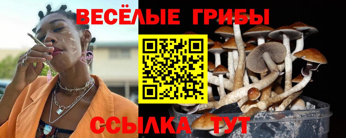 Галлюциногенные грибы ЛСД Киров